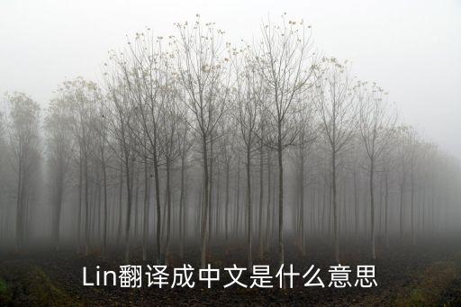 lin是什么意思，什么是LIN