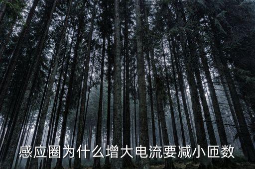 感應圈為什么增大電流要減小匝數(shù)