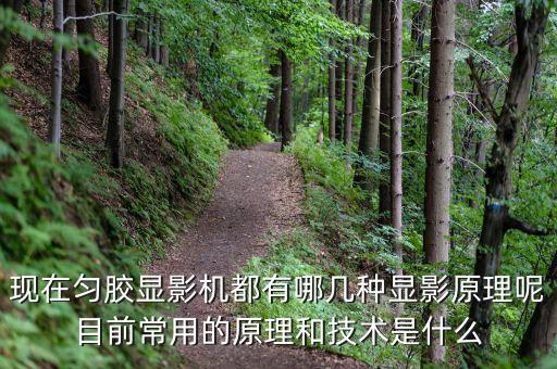 顯影機(jī)，顯影機(jī)用途是什么