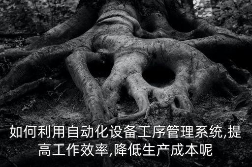 如何利用自動化設(shè)備工序管理系統(tǒng),提高工作效率,降低生產(chǎn)成本呢