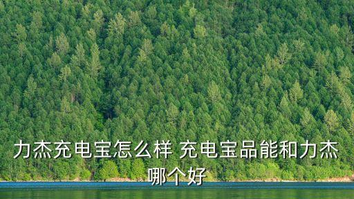 力杰充電寶怎么樣 充電寶品能和力杰哪個好
