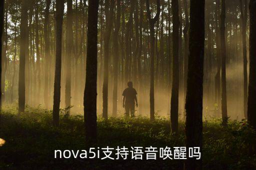 nova5i支持語(yǔ)音喚醒嗎