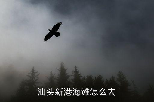 新港海岸，新港至海岸明天有船開(kāi)嗎