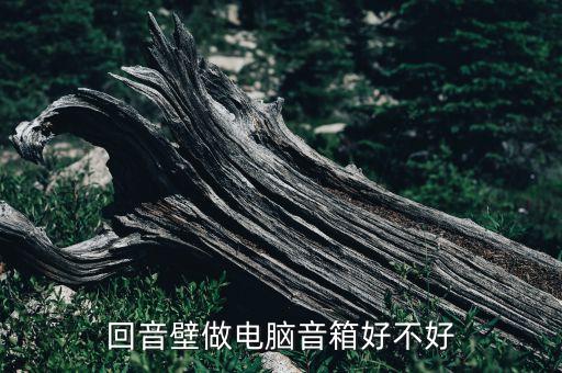 回音壁做電腦音箱好不好