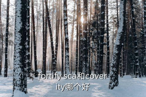 fortify sca和coverity哪個好