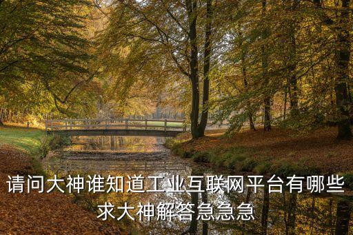 請問大神誰知道工業(yè)互聯(lián)網(wǎng)平臺有哪些求大神解答急急急