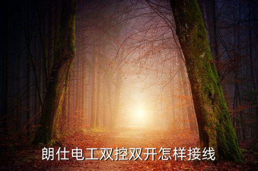 朗仕電工雙控雙開怎樣接線