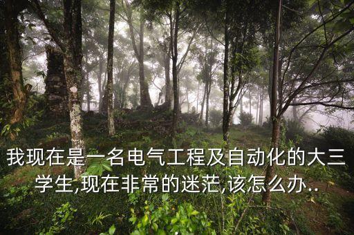 我現(xiàn)在是一名電氣工程及自動(dòng)化的大三學(xué)生,現(xiàn)在非常的迷茫,該怎么辦...