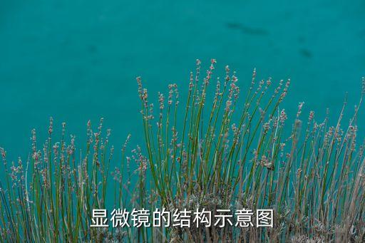 顯微鏡的結(jié)構(gòu)示意圖
