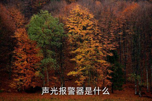 聲光報(bào)警器，聲光報(bào)警器到RS是什么