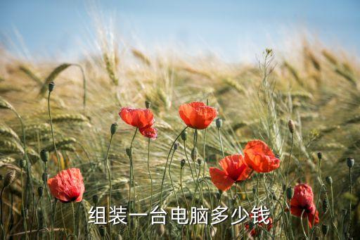 組裝臺式機多少錢，組裝一臺臺式電腦大概要多少錢