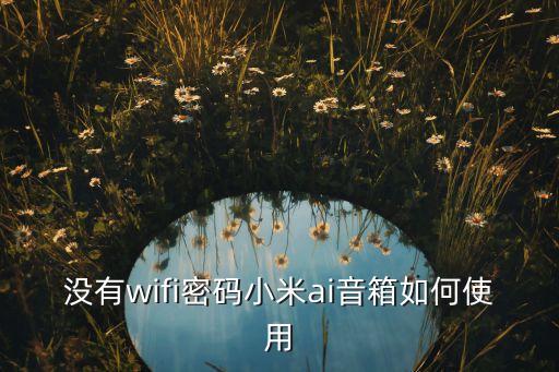 沒(méi)有wifi密碼小米ai音箱如何使用