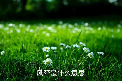 風(fēng)輦是什么意思