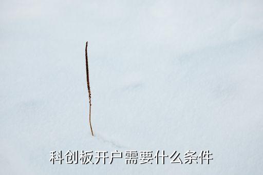 科創(chuàng)板開戶需要什么條件