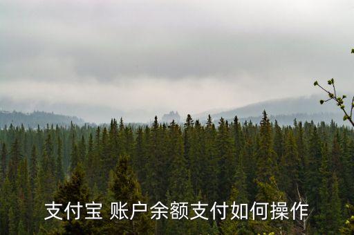 支付寶 賬戶余額支付如何操作