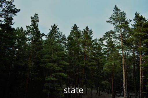 state