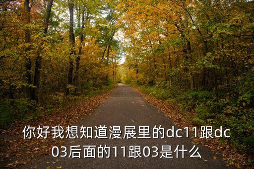 你好我想知道漫展里的dc11跟dc03后面的11跟03是什么