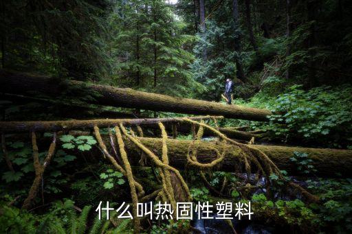 什么叫熱固性塑料