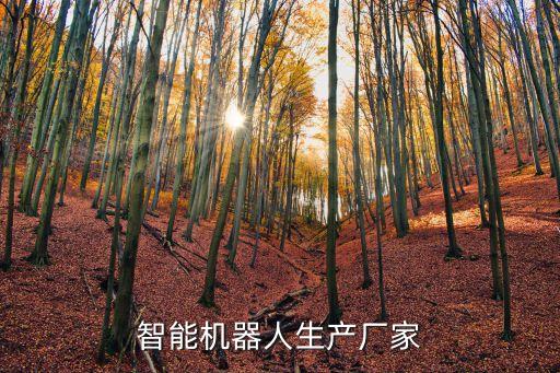 智能機(jī)器人生產(chǎn)廠家