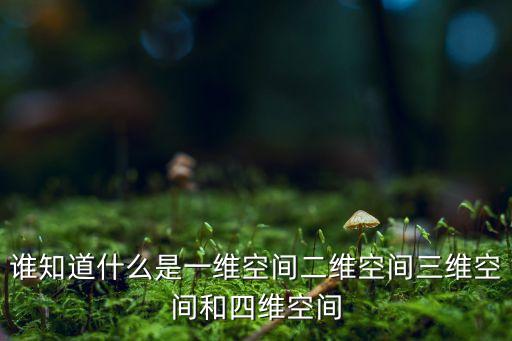 誰知道什么是一維空間二維空間三維空間和四維空間