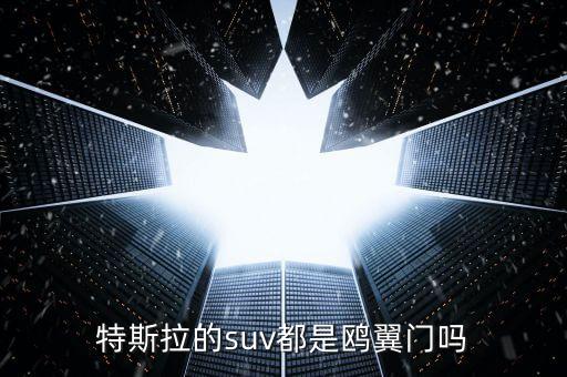 特斯拉的suv都是鷗翼門嗎