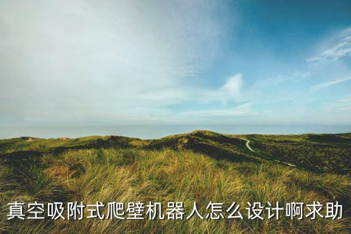 真空吸附式爬壁機器人怎么設計啊求助