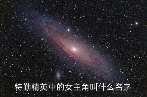 特勤精英中的女主角叫什么名字