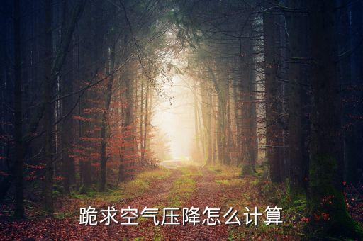 壓降計(jì)算公式，跪求空氣壓降怎么計(jì)算