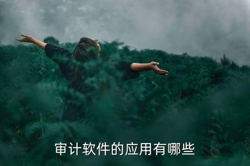 審計(jì)平臺，目前會(huì)計(jì)師事務(wù)所常用的審計(jì)軟件有哪些我們所用的鼎信諾軟件