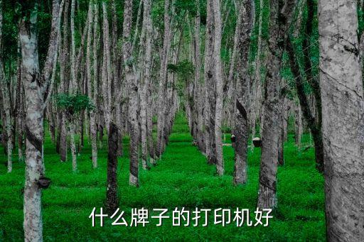 什么牌子的打印機(jī)好