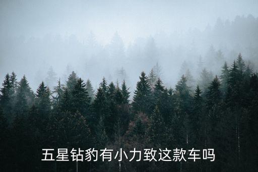 五星鉆豹有小力致這款車嗎