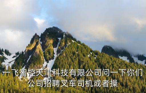一飛智控天津科技有限公司問(wèn)一下你們公司招聘叉車司機(jī)或者操