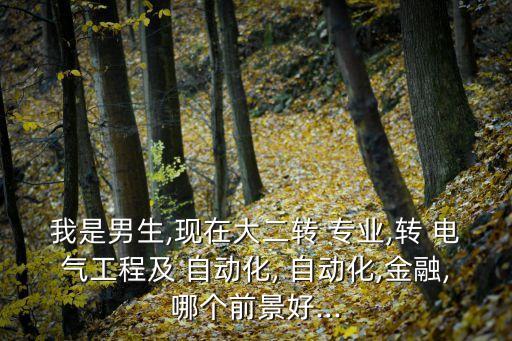 我是男生,現(xiàn)在大二轉(zhuǎn) 專業(yè),轉(zhuǎn) 電氣工程及 自動化, 自動化,金融,哪個前景好...