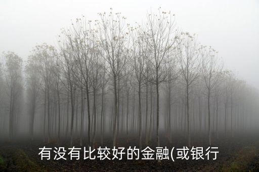 有沒有比較好的金融(或銀行