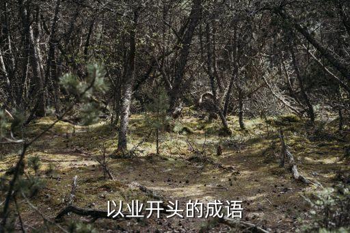 以業(yè)開頭的成語(yǔ)
