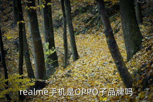 realme手機(jī)是OPPO子品牌嗎