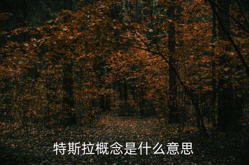 特斯拉概念是什么意思