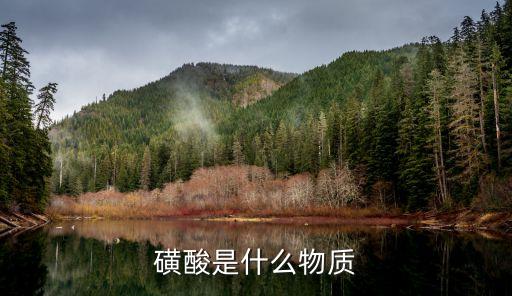 磺酸是什么物質(zhì)