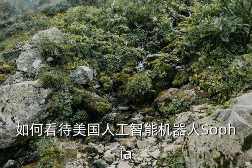 如何看待美國人工智能機器人Sophia