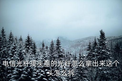 電信光纖接頭里的光纖怎么拿出來這個(gè)頭怎么拆