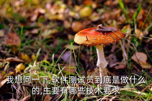 公司對自動化測試的要求,自動化測試體系應(yīng)該是什么情形?