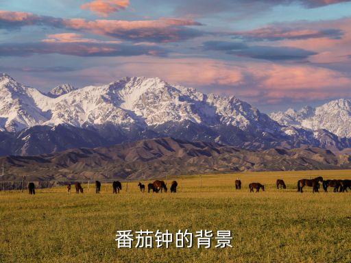 番茄鐘的背景