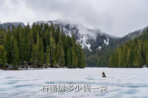 石墨烯多少錢一克