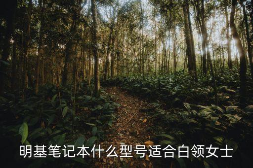 明基筆記本什么型號適合白領(lǐng)女士