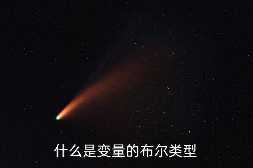 什么是變量的布爾類型