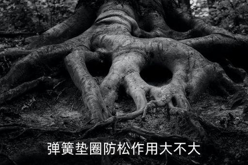 彈簧墊圈防松作用大不大