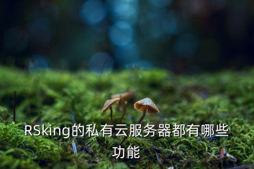 私人云服務(wù)器，RSking的私有云服務(wù)器都有哪些功能