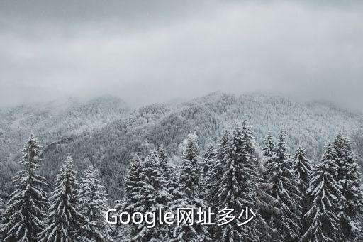 google網(wǎng)頁版，Google網(wǎng)址多少