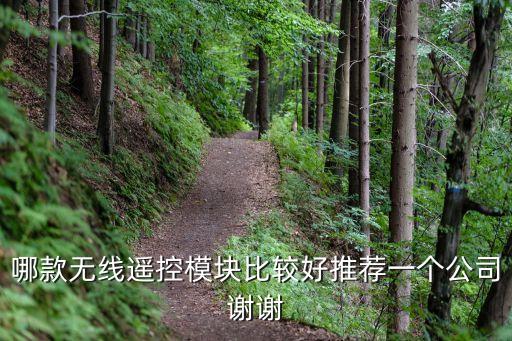 哪款無線遙控模塊比較好推薦一個公司謝謝
