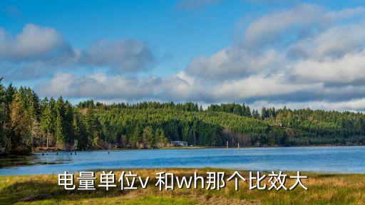 電量單位v 和wh那個比效大